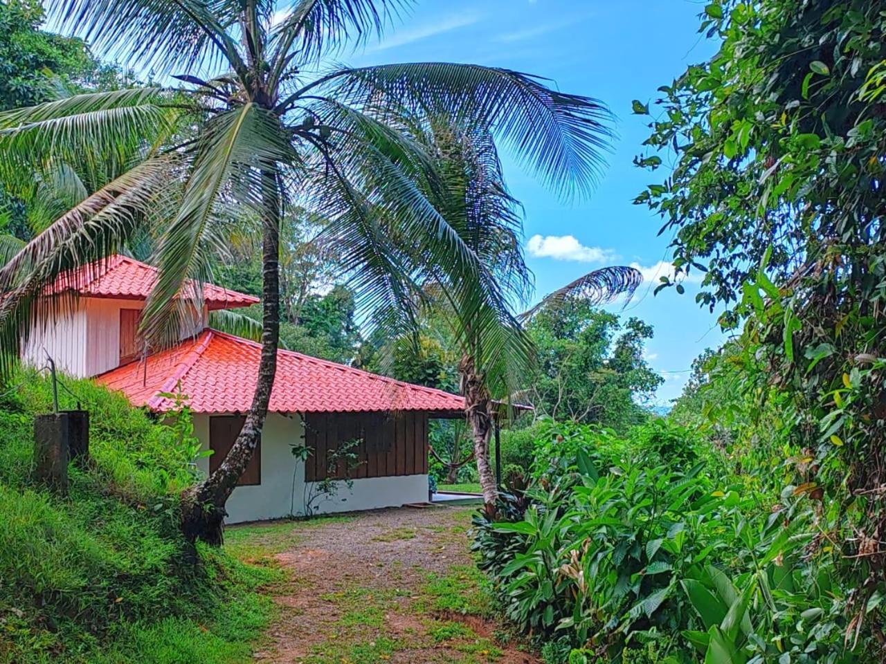 Corcovado Green Cabin & House Drake Bay Exterior photo